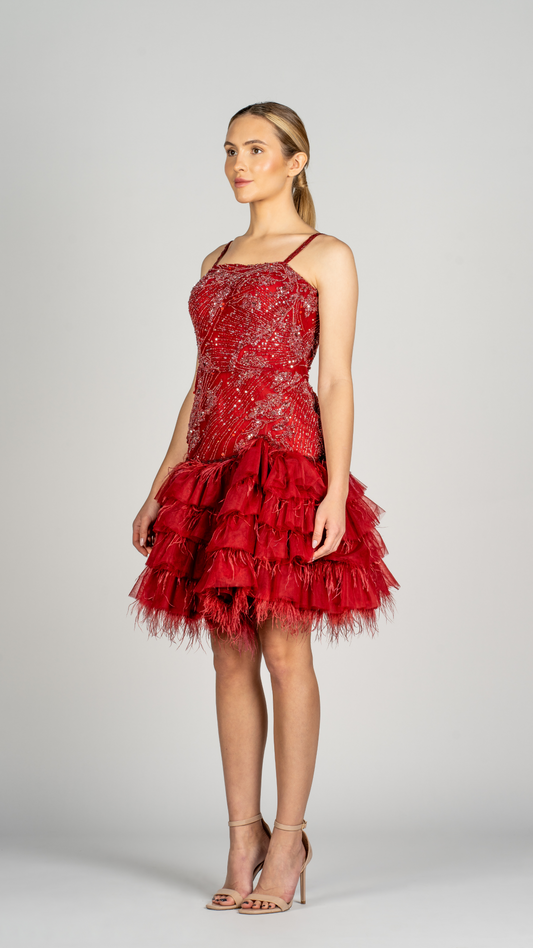 Short Party Dress with Tulle Ruffles