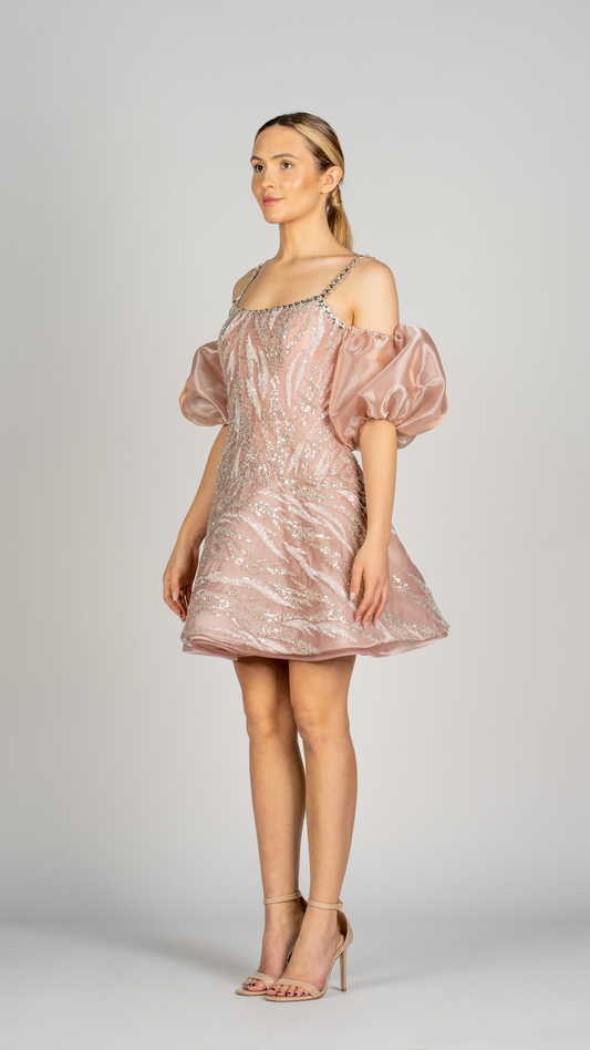 Short Party Dress with Organza Sleeves